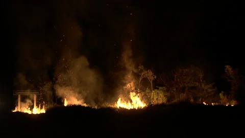 Tropical Amazon destroyed by illegal burning Stock Footage 140616341