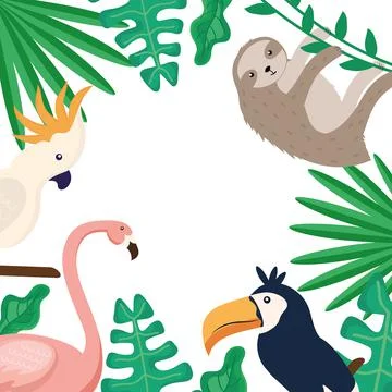 Tropical animals frame 스톡 일러스트