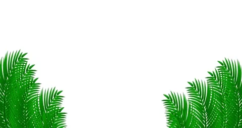 Tropical animation with palm leafs. Stock Footage 105520545