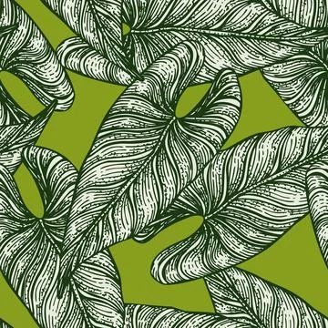 Tropical araceae leaf seamless pattern. Jungle leaves background. Stockillustratie