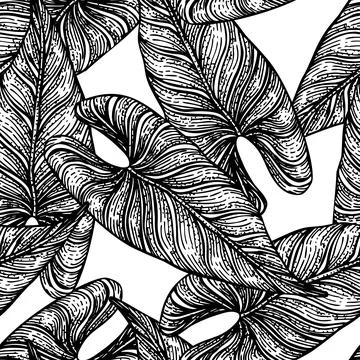 Tropical araceae leaf seamless pattern. Jungle leaves background. Stock Illustration
