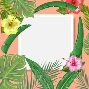 Tropical backdrop with frame or border made of tropical exotic foliage and Stock Illustration