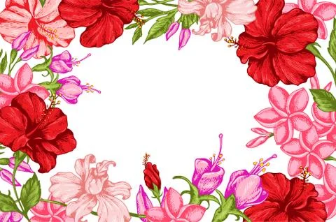 Tropical background with flowers Stock Illustration