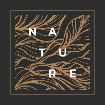 Tropical background. Foliar pattern with nature cocoa leaves. Vector hand dra Stock Illustration