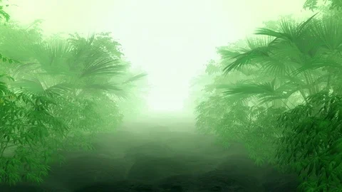 Tropical background Stock Footage 123293593