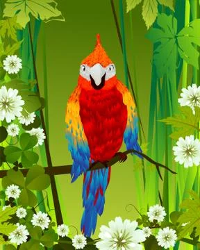 Tropical background Stock Illustration