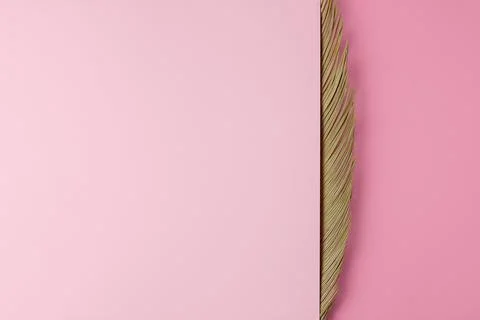 Tropical background with palm leaf. Flat lay, copy space Stock Photos