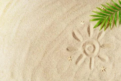 Tropical background. Palm tree branche with starfish on sandy background. Tra Stock Photos