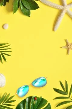 Tropical Background. Palm Trees Branches with starfish and seashell on yellow Stock Photos