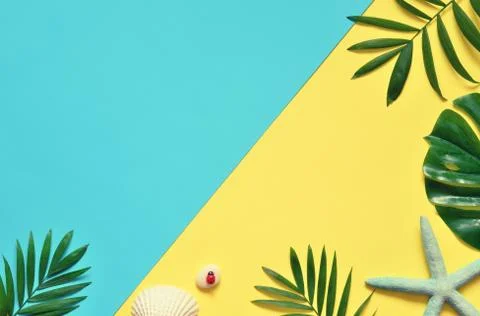 Tropical Background. Palm Trees Branches with starfish and seashell on yellow Stock Photos
