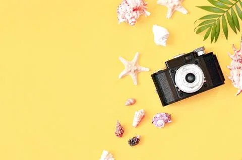Tropical Background. Palm Trees Branches with camera and seashell on yellow b Foto stock
