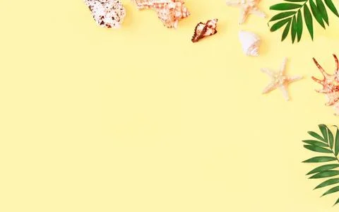 Tropical Background. Palm Trees Branches with starfish and seashell on yellow Stock-Fotos