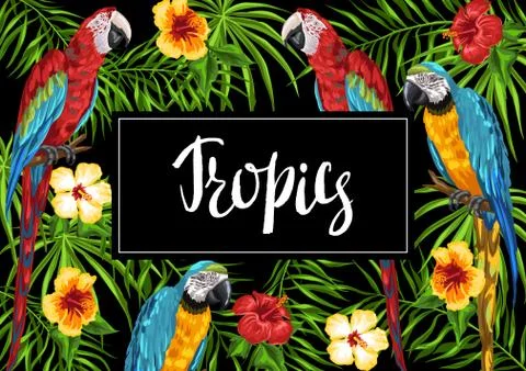 Tropical background with parrots. Illustrazione stock