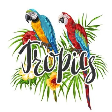 Tropical background with parrots. 库存插图
