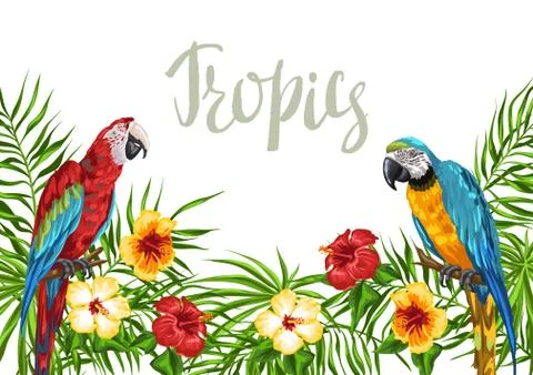 Tropical background with parrots. Illustrazione stock