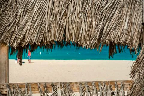 Tropical background. Foto stock