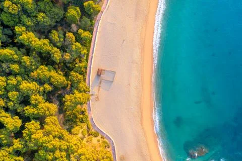 Tropical background Foto stock
