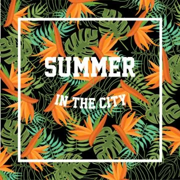 Tropical Background with Summer in the City Lettering Illustrazione stock