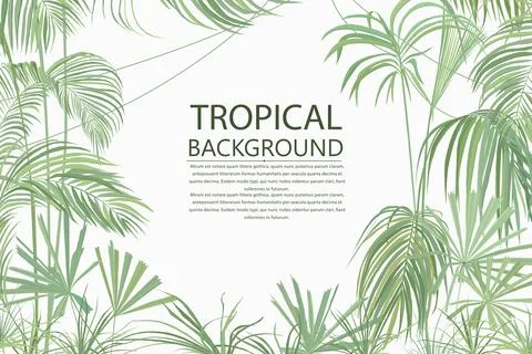 Tropical background text card Stock Illustration