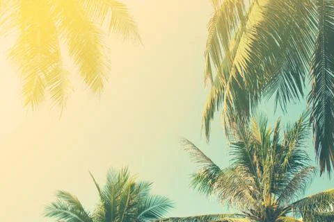 Tropical background. Toning Foto stock