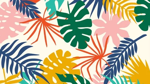 Tropical background with a white frame in the middle. Modern abstract design for Stock Footage 105679238