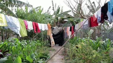 Tropical Backyard Stock Footage 17820247