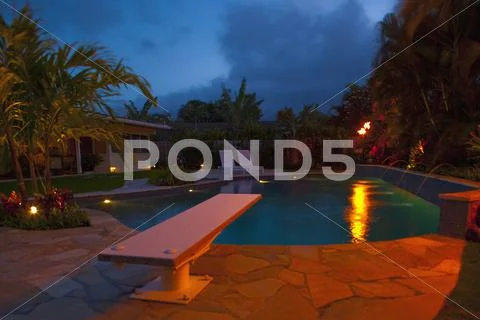 Tropical Backyard Pool At Night