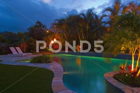 Tropical Backyard Pool At Night