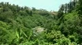 Tropical Bali jungle landscape near waterfall HD Footage