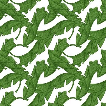 Tropical banana leaf seamless pattern. Jungle leaves background. 스톡 일러스트