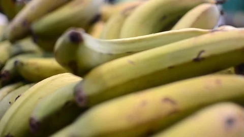 Tropical bananas Video stock 88145213
