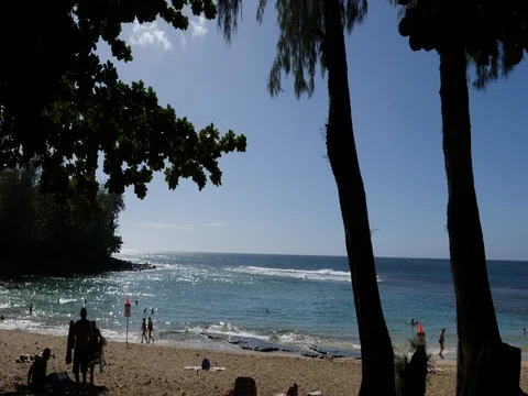 Tropical beach 1 Stock Footage 80364054