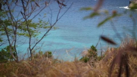 Tropical beach 153 Stock Footage 155495422