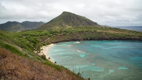 Tropical beach 155 Stock Footage 155495429