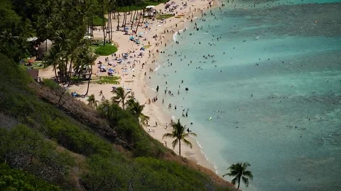 Tropical beach 156 Stock Footage 155495432