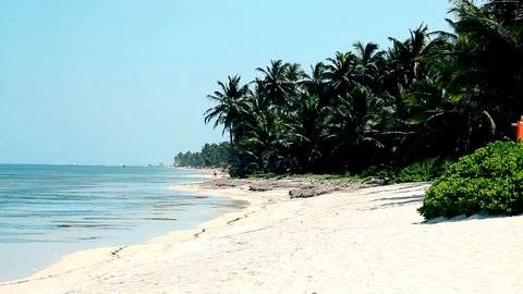 Tropical beach 2 Video stock 94023667