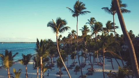 Tropical beach 20 Stock Footage 100019434