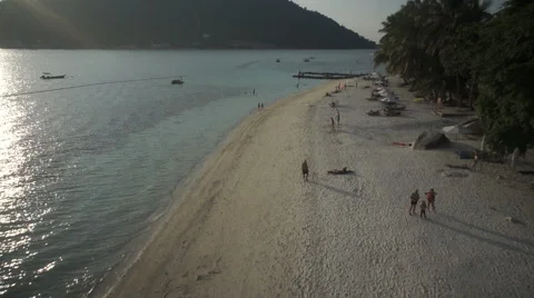 Tropical beach 5 動画素材 42000863