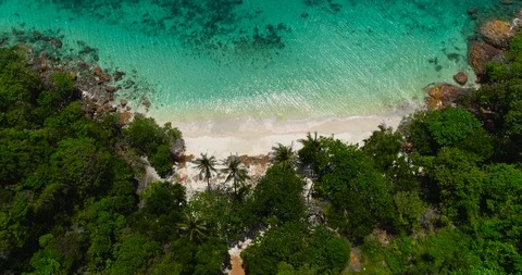 Tropical beach aerial view Stock Footage 119970392
