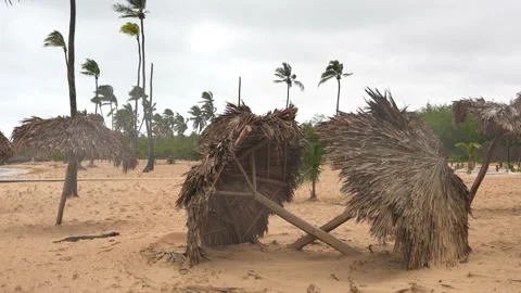 Tropical beach after storm. Fallen paras... | Stock Video | Pond5