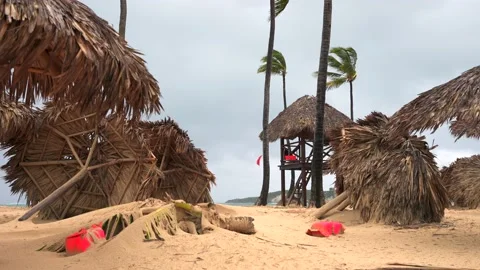 Tropical beach after storm. Fallen parasols made of palm leaves. Coconut trees Stock Footage 220039040