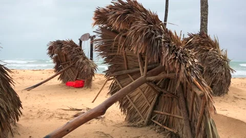 Tropical beach after storm. Fallen parasols made of palm leaves. Coconut trees Stock Footage 220039056