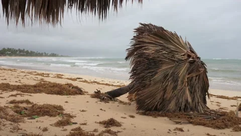 Tropical beach after storm. Fallen parasol made of palm leaves in windy weather Stock Footage 220039213