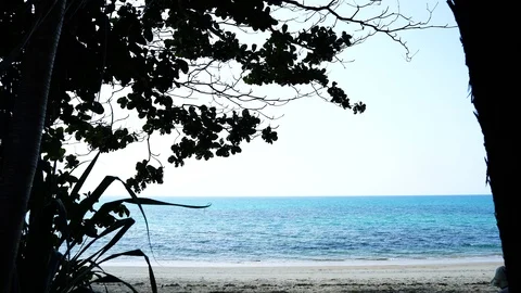 Tropical beach afternoon view,  of waves break on tropical white sand beach. Video stock 110738732