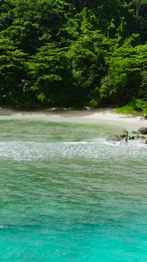Tropical beach and azure ocean. Seychelles. Stock Footage 342530714