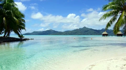 Tropical beach and bungalows in french polynesia Stock Footage