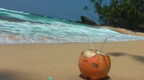 Tropical Beach and the Coconut 스톡 동영상 61752625