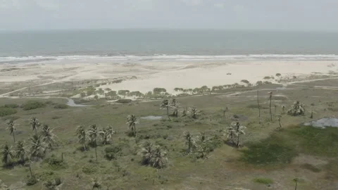 Tropical Beach and coconut trees Drone BR FOR DJI 0320 A Stock Footage 139916016