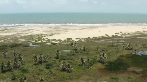 Tropical Beach and coconut trees Drone BR FOR 0320 A GR Stock Footage 143238977