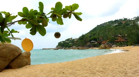 Tropical beach and developing branch in the wind Stock Footage 34467520